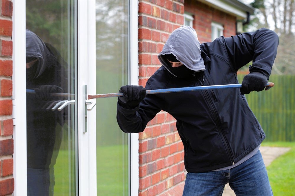 Burglar and window