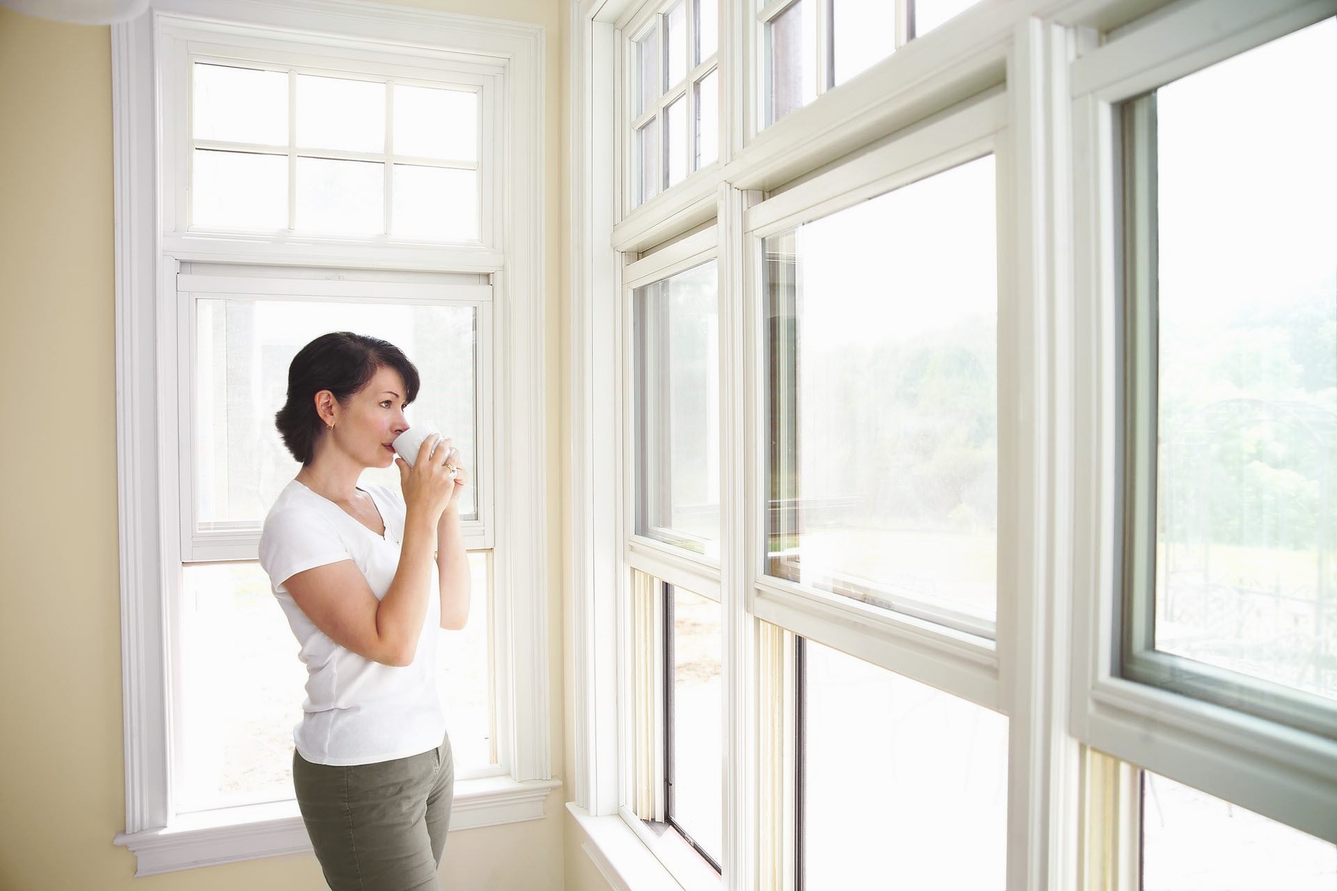 The Benefits of Installing Energy-Efficient Plastic Windows in Your Home